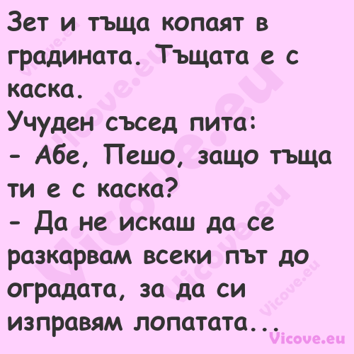 Зет и тъща копаят в градината. ...