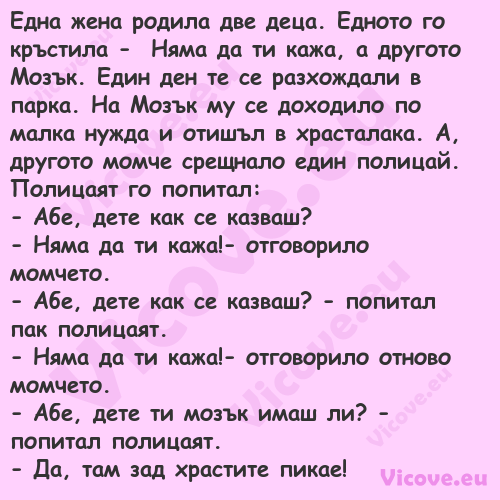 Една жена&nbsp;родила две деца....