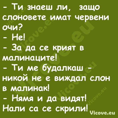  Ти знаеш ли, &nbsp;защо слоно...