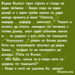 Върви Вълкът през гората и глед...