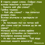 В гората умрял слона. Събрал лъ...