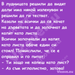 В лудницата решили да видят дал...